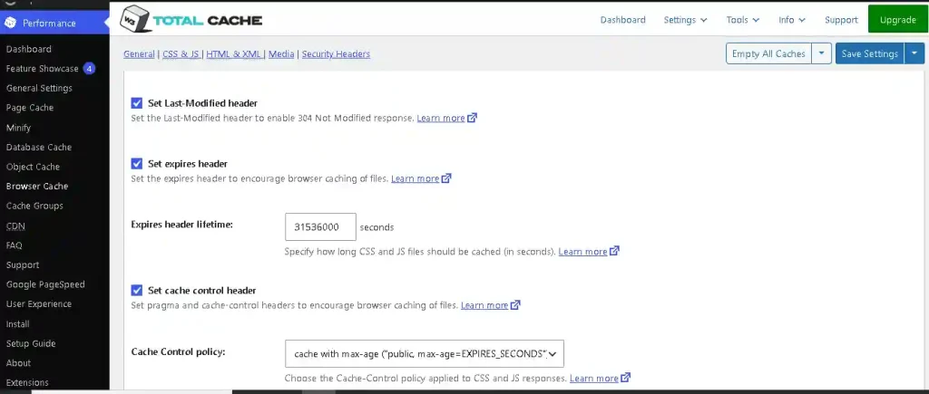 set expires header di w3 total cache